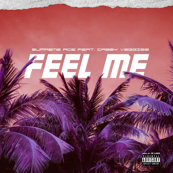 Supreme Ace - Feel Me Ft. Casey Veggies